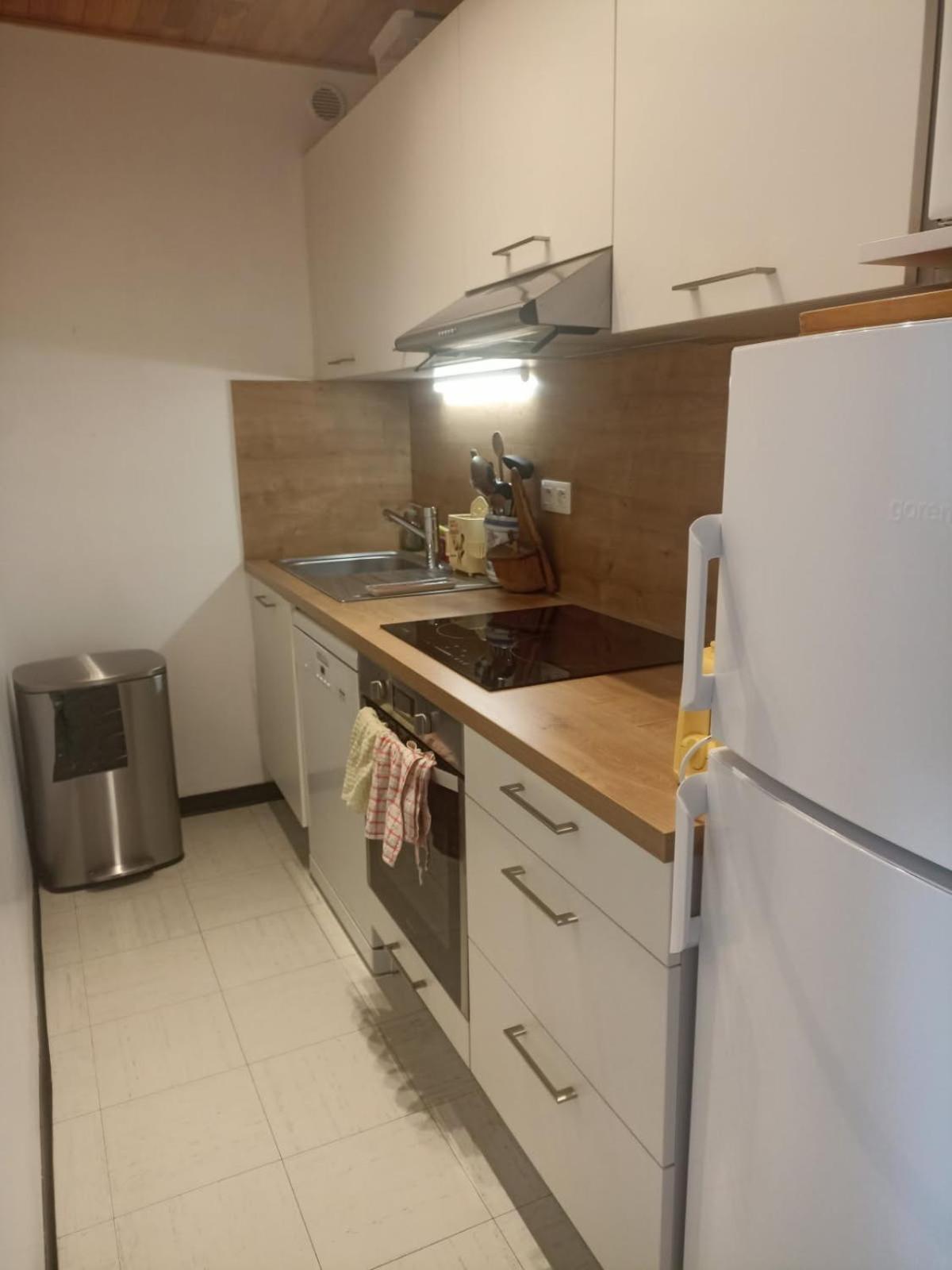 פוי-סן-ונסן Appartement Au Pied Des Pistes מראה חיצוני תמונה